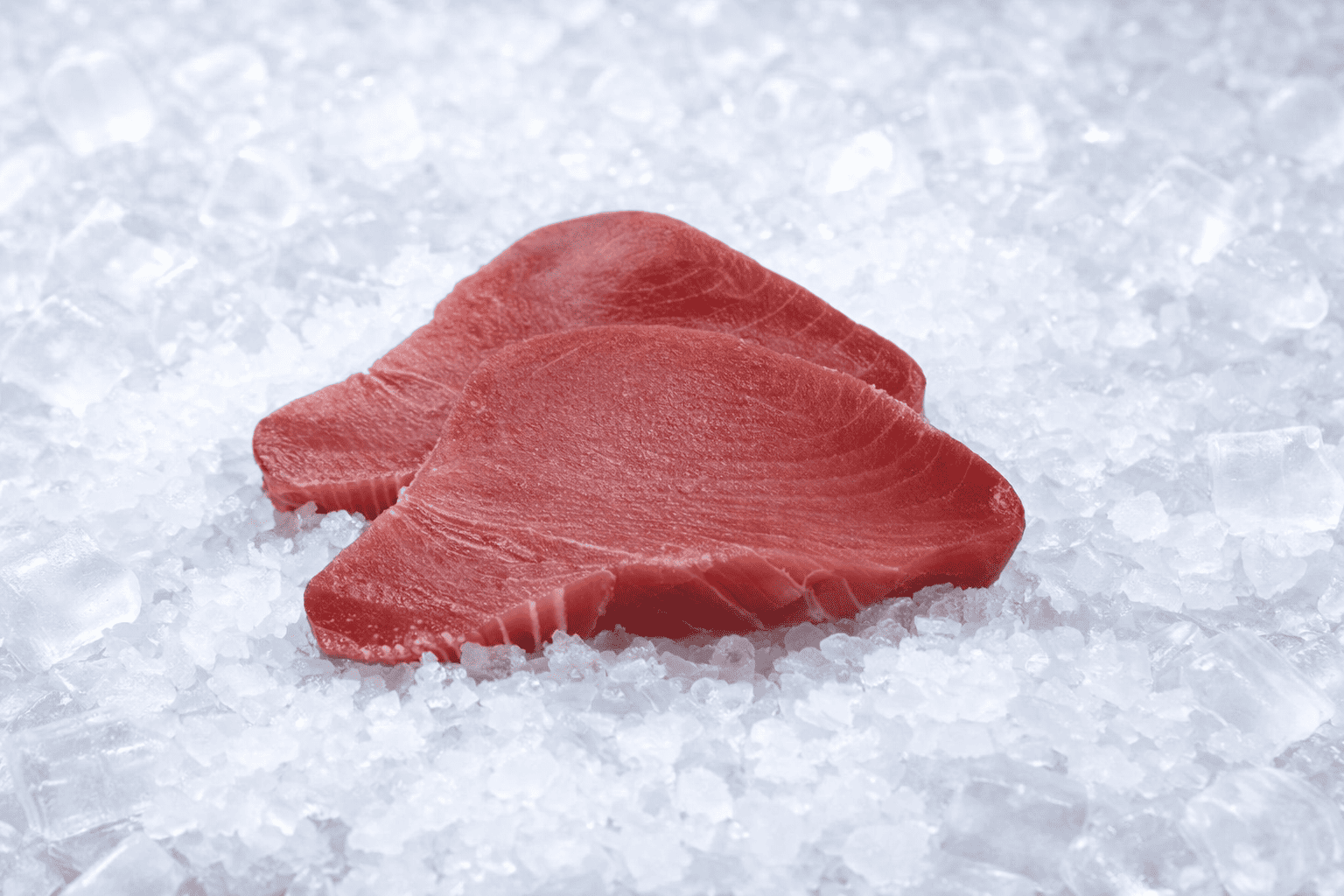 Bluefin Tuna (local)